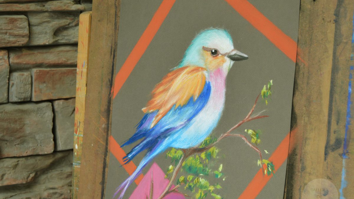 Pájaro