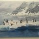 Paisaje helado con pingüinos.